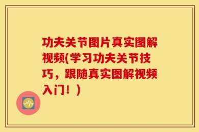 功夫关节图片真实图解视频(学习功夫关节技巧，跟随真实图解视频入门！)