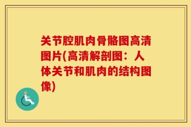 关节腔肌肉骨骼图高清图片(高清解剖图：人体关节和肌肉的结构图像)
