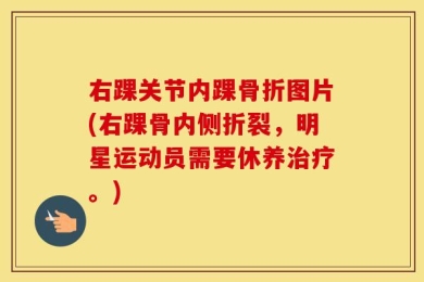 右踝关节内踝骨折图片(右踝骨内侧折裂，明星运动员需要休养治疗。)