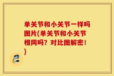 单关节和小关节一样吗图片(单关节和小关节相同吗？对比图解密！)
