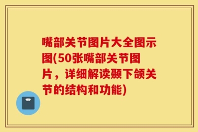 嘴部关节图片大全图示图(50张嘴部关节图片，详细解读颞下颌关节的结构和功能)