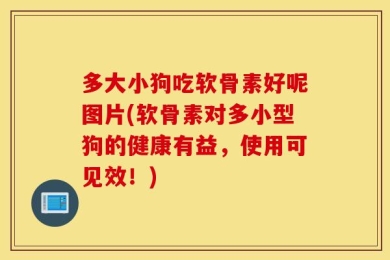 多大小狗吃软骨素好呢图片(软骨素对多小型狗的健康有益，使用可见效！)