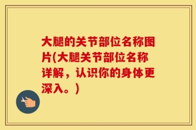 大腿的关节部位名称图片(大腿关节部位名称详解，认识你的身体更深入。)