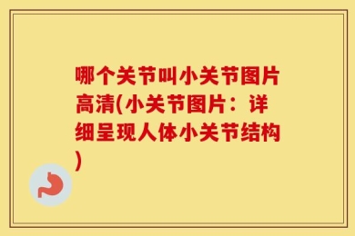 哪个关节叫小关节图片高清(小关节图片：详细呈现人体小关节结构)