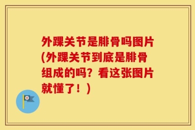 外踝关节是腓骨吗图片(外踝关节到底是腓骨组成的吗？看这张图片就懂了！)