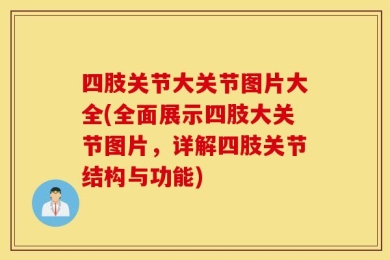 四肢关节大关节图片大全(全面展示四肢大关节图片，详解四肢关节结构与功能)