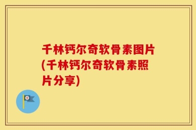 千林钙尔奇软骨素图片(千林钙尔奇软骨素照片分享)