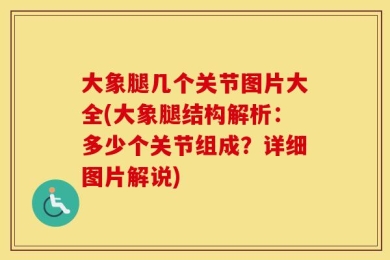 大象腿几个关节图片大全(大象腿结构解析：多少个关节组成？详细图片解说)