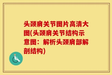 头颈肩关节图片高清大图(头颈肩关节结构示意图：解析头颈肩部解剖结构)
