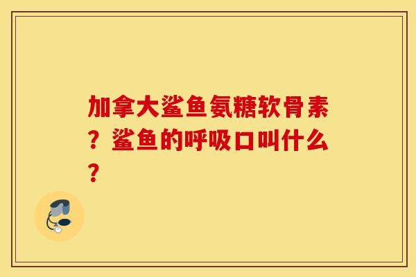 加拿大鲨鱼氨糖软骨素?鲨鱼的口叫什么? 加拿大鲨鱼氨糖软骨素?鲨鱼的口叫什么?