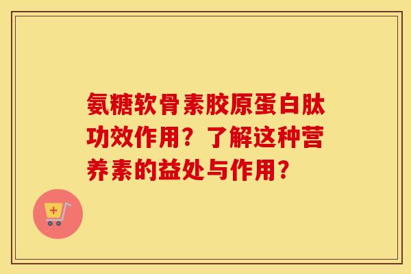 氨糖软骨素胶原蛋白肽功效作用？了解这种营养素的益处与作用？