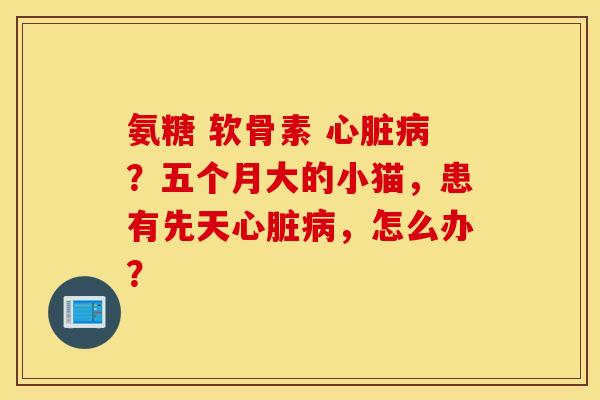 氨糖 软骨素 ?五个月大的小猫,患有先天,怎么办? 氨糖 软骨素 ?五个月大的小猫,患有先天,怎么办?