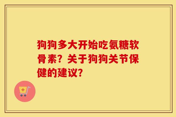 狗狗多大开始吃氨糖软骨素？关于狗狗关节保健的建议？