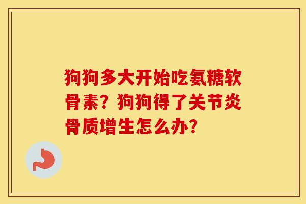 狗狗多大开始吃氨糖软骨素？狗狗得了怎么办？