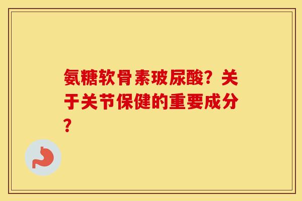 氨糖软骨素玻尿酸?关于关节保健的重要成分? 氨糖软骨素玻尿酸?关于关节保健的重要成分?