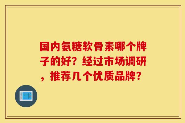 国内氨糖软骨素哪个牌子的好？经过市场调研，推荐几个优质品牌？