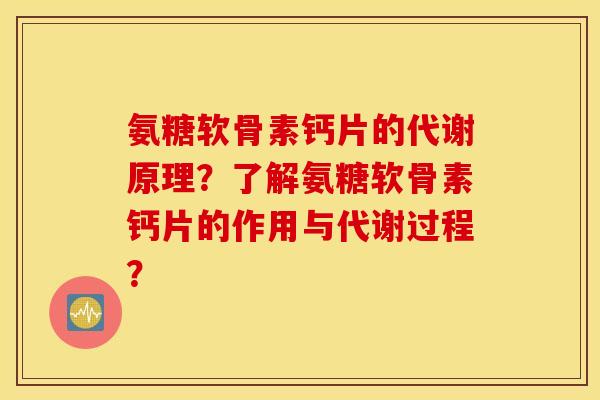 氨糖软骨素钙片的代谢原理？了解氨糖软骨素钙片的作用与代谢过程？