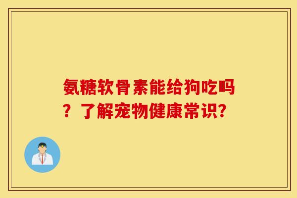氨糖软骨素能给狗吃吗？了解宠物健康常识？