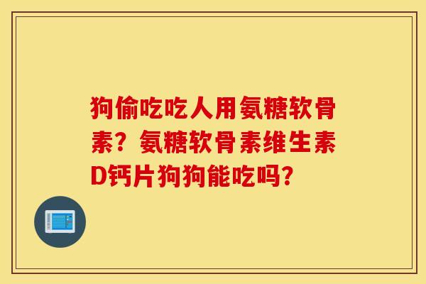狗偷吃吃人用氨糖软骨素?氨糖软骨素维生素D钙片狗狗能吃吗? 狗偷吃吃人用氨糖软骨素?氨糖软骨素维生素D钙片狗狗能吃吗?