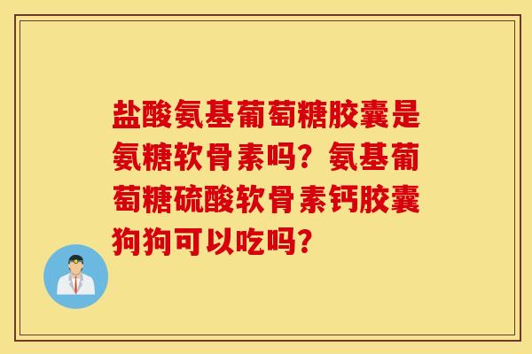 盐酸氨基葡萄糖胶囊是氨糖软骨素吗？氨基葡萄糖硫酸软骨素钙胶囊狗狗可以吃吗？