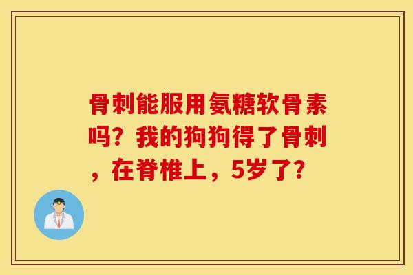 能服用氨糖软骨素吗？我的狗狗得了，在脊椎上，5岁了？