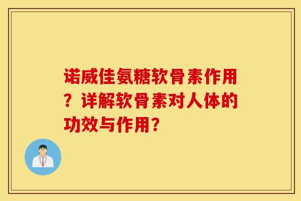 诺威佳氨糖软骨素作用？详解软骨素对人体的功效与作用？