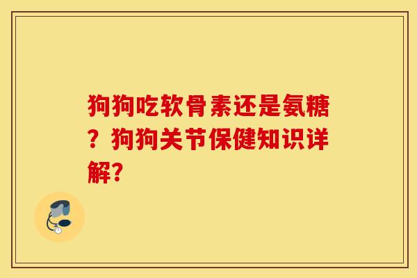 狗狗吃软骨素还是氨糖？狗狗关节保健知识详解？