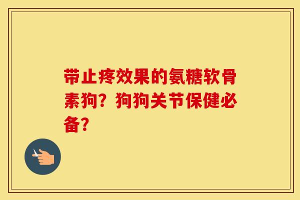 带止疼效果的氨糖软骨素狗?狗狗关节保健必备? 带止疼效果的氨糖软骨素狗?狗狗关节保健必备?