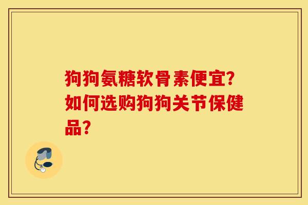 狗狗氨糖软骨素便宜？如何选购狗狗关节保健品？