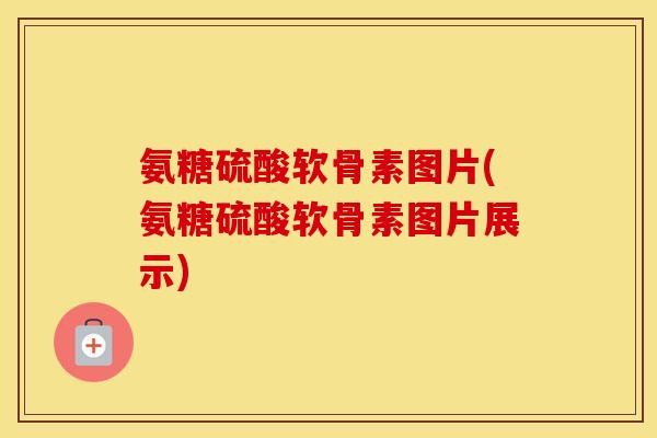 氨糖硫酸软骨素图片(氨糖硫酸软骨素图片展示)