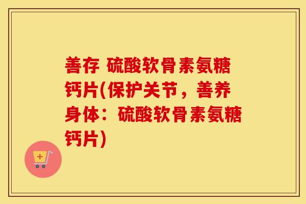 善存 硫酸软骨素氨糖钙片(保护关节,善养身体:硫酸软骨素氨糖钙片) 善存 硫酸软骨素氨糖钙片(保护关节,善养身体:硫酸软骨素氨糖钙片)
