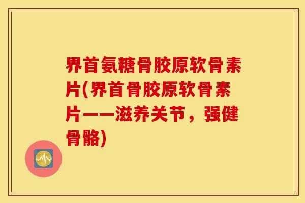 界首氨糖骨胶原软骨素片(界首骨胶原软骨素片——滋养关节,强健骨骼) 界首氨糖骨胶原软骨素片(界首骨胶原软骨素片——滋养关节,强健骨骼)