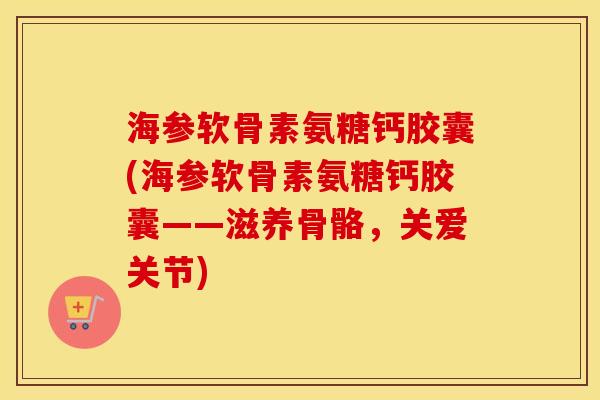 海参软骨素氨糖钙胶囊(海参软骨素氨糖钙胶囊——滋养骨骼，关爱关节)