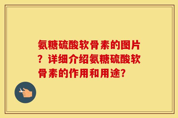 氨糖硫酸软骨素的图片?详细介绍氨糖硫酸软骨素的作用和用途? 氨糖硫酸软骨素的图片?详细介绍氨糖硫酸软骨素的作用和用途?