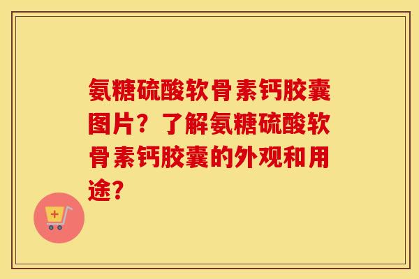 氨糖硫酸软骨素钙胶囊图片?了解氨糖硫酸软骨素钙胶囊的外观和用途? 氨糖硫酸软骨素钙胶囊图片?了解氨糖硫酸软骨素钙胶囊的外观和用途?