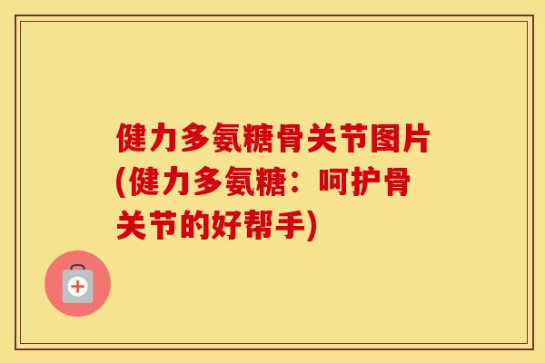 健力多氨糖骨关节图片(健力多氨糖:呵护骨关节的好帮手) 健力多氨糖骨关节图片(健力多氨糖:呵护骨关节的好帮手)