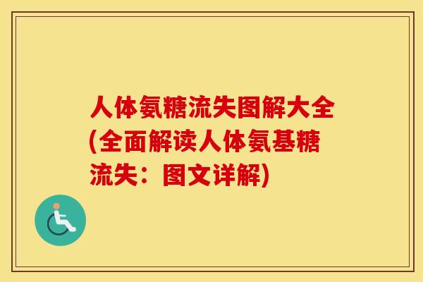 人体氨糖流失图解大全(全面解读人体氨基糖流失:图文详解) 人体氨糖流失图解大全(全面解读人体氨基糖流失:图文详解)