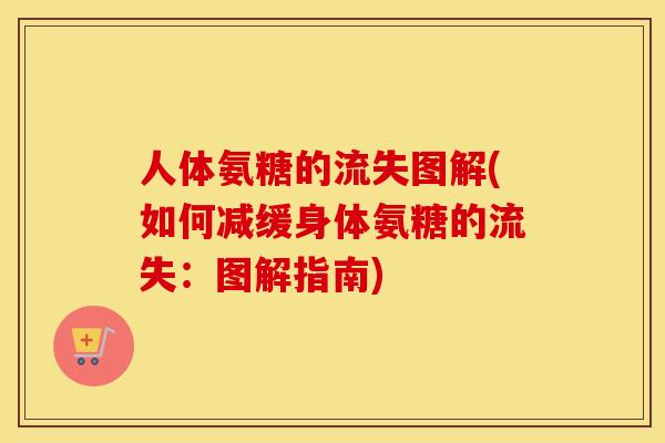 人体氨糖的流失图解(如何减缓身体氨糖的流失:图解指南) 人体氨糖的流失图解(如何减缓身体氨糖的流失:图解指南)