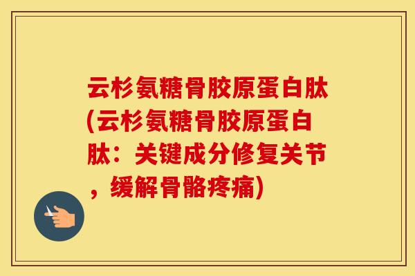 云杉氨糖骨胶原蛋白肽(云杉氨糖骨胶原蛋白肽:关键成分修复关节,缓解骨骼) 云杉氨糖骨胶原蛋白肽(云杉氨糖骨胶原蛋白肽:关键成分修复关节,缓解骨骼)