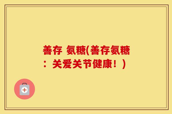 善存 氨糖(善存氨糖：关爱关节健康！)