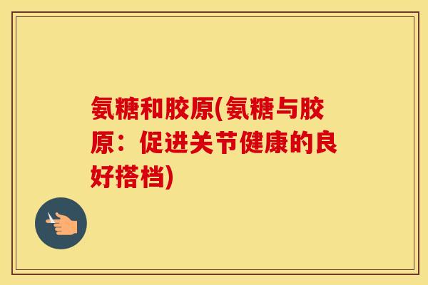 氨糖和胶原(氨糖与胶原：促进关节健康的良好搭档)