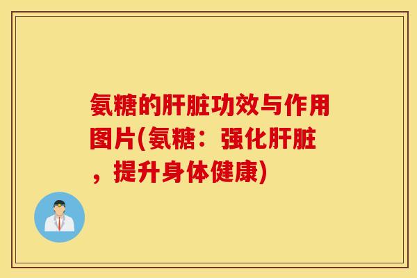 氨糖的功效与作用图片(氨糖:强化,提升身体健康) 氨糖的功效与作用图片(氨糖:强化,提升身体健康)