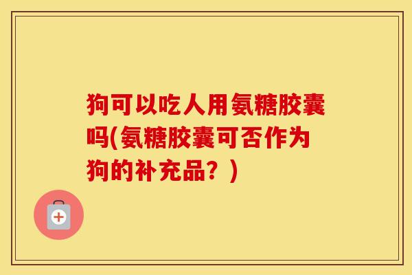 狗可以吃人用氨糖胶囊吗(氨糖胶囊可否作为狗的补充品?) 狗可以吃人用氨糖胶囊吗(氨糖胶囊可否作为狗的补充品?)