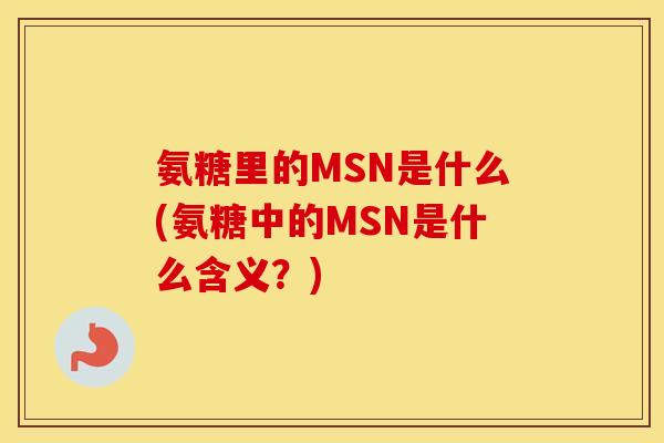 氨糖里的MSN是什么(氨糖中的MSN是什么含义？)
