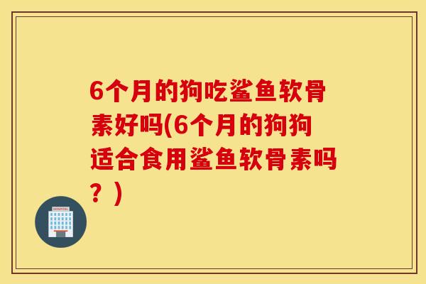 6个月的狗吃鲨鱼软骨素好吗(6个月的狗狗适合食用鲨鱼软骨素吗?) 6个月的狗吃鲨鱼软骨素好吗(6个月的狗狗适合食用鲨鱼软骨素吗?)