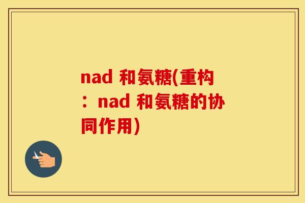 nad 和氨糖(重构:nad 和氨糖的协同作用) nad 和氨糖(重构:nad 和氨糖的协同作用)