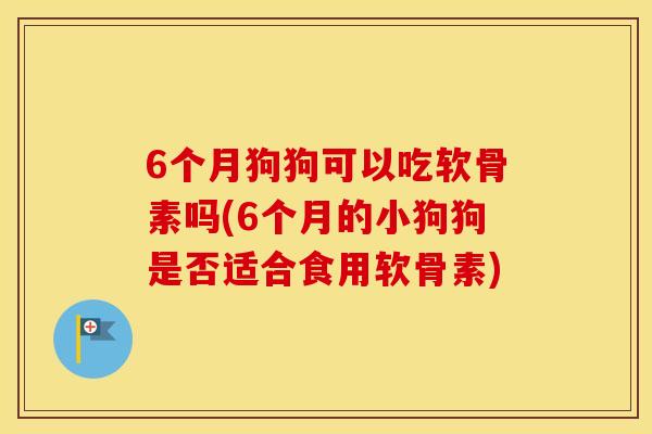 6个月狗狗可以吃软骨素吗(6个月的小狗狗是否适合食用软骨素) 6个月狗狗可以吃软骨素吗(6个月的小狗狗是否适合食用软骨素)
