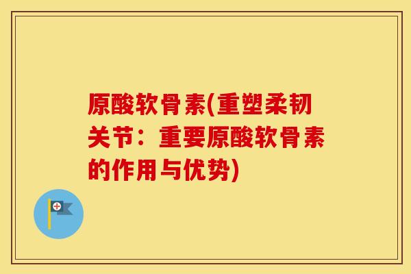 原酸软骨素(重塑柔韧关节:重要原酸软骨素的作用与优势) 原酸软骨素(重塑柔韧关节:重要原酸软骨素的作用与优势)
