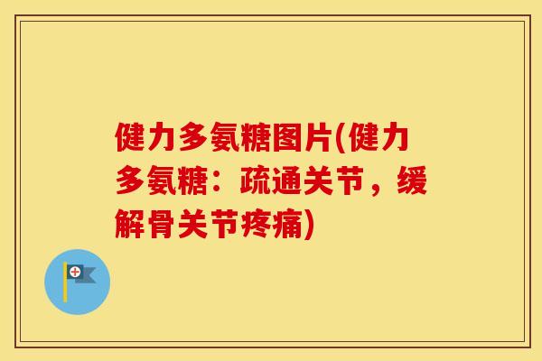 健力多氨糖图片(健力多氨糖：疏通关节，缓解骨关节)