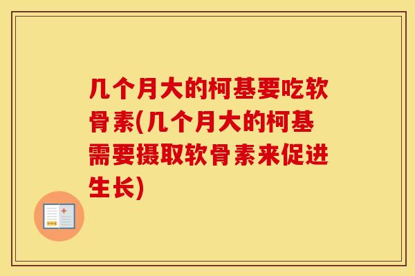 几个月大的柯基要吃软骨素(几个月大的柯基需要摄取软骨素来促进生长) 几个月大的柯基要吃软骨素(几个月大的柯基需要摄取软骨素来促进生长)